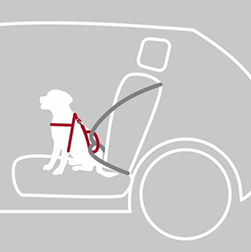 Trixie Dog Protect Car Safety Harness