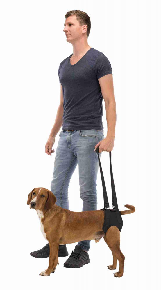 Trixie Walking Aid for Dogs