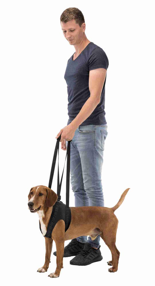 Trixie Walking Aid for Dogs