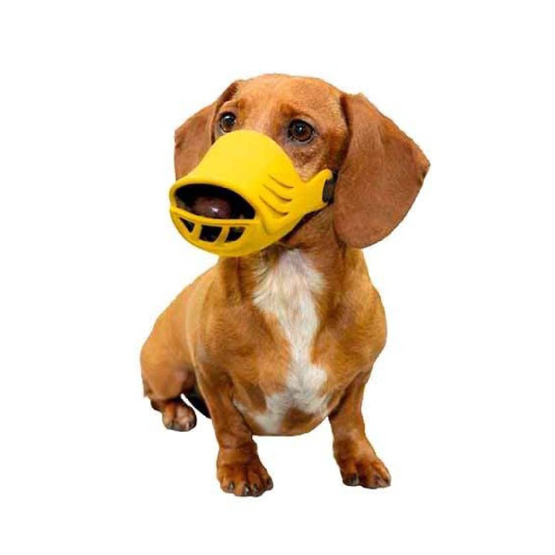 Artero Non-Toxic Silicon Dog Muzzle