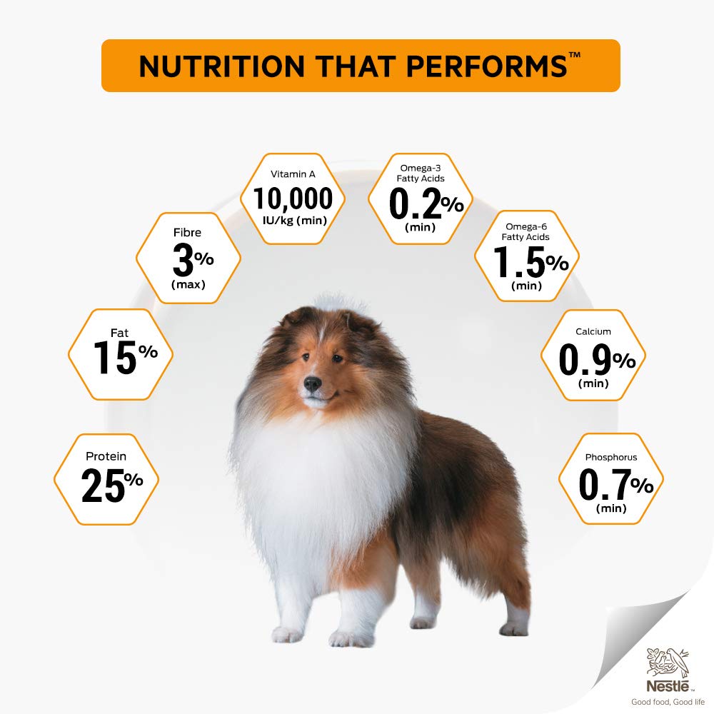 Purina - Pro Plan Chicken Medium Adult Dog Dry Food