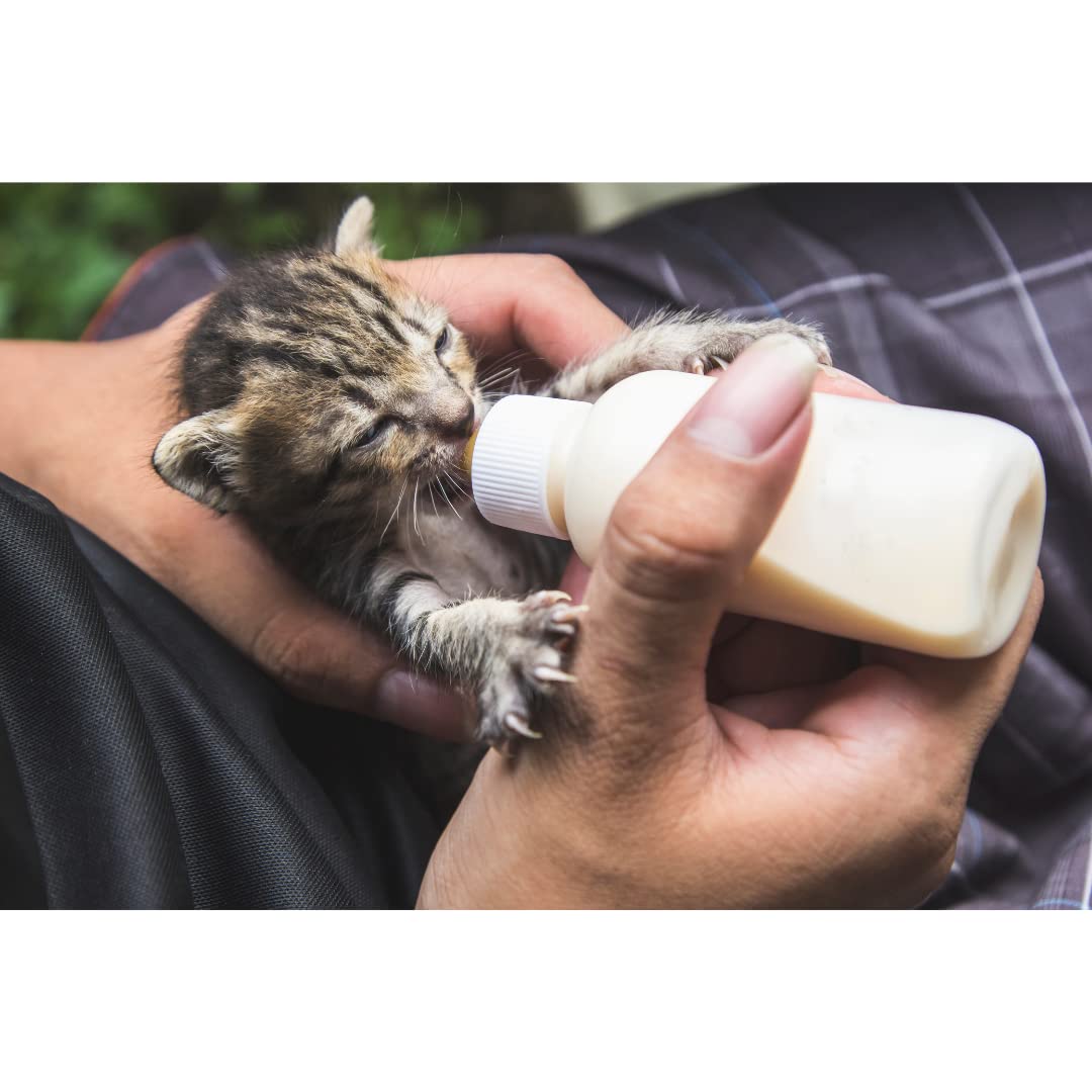 Trixie Suckling Bottle Set for Orphaned Baby Animals - 57 ml