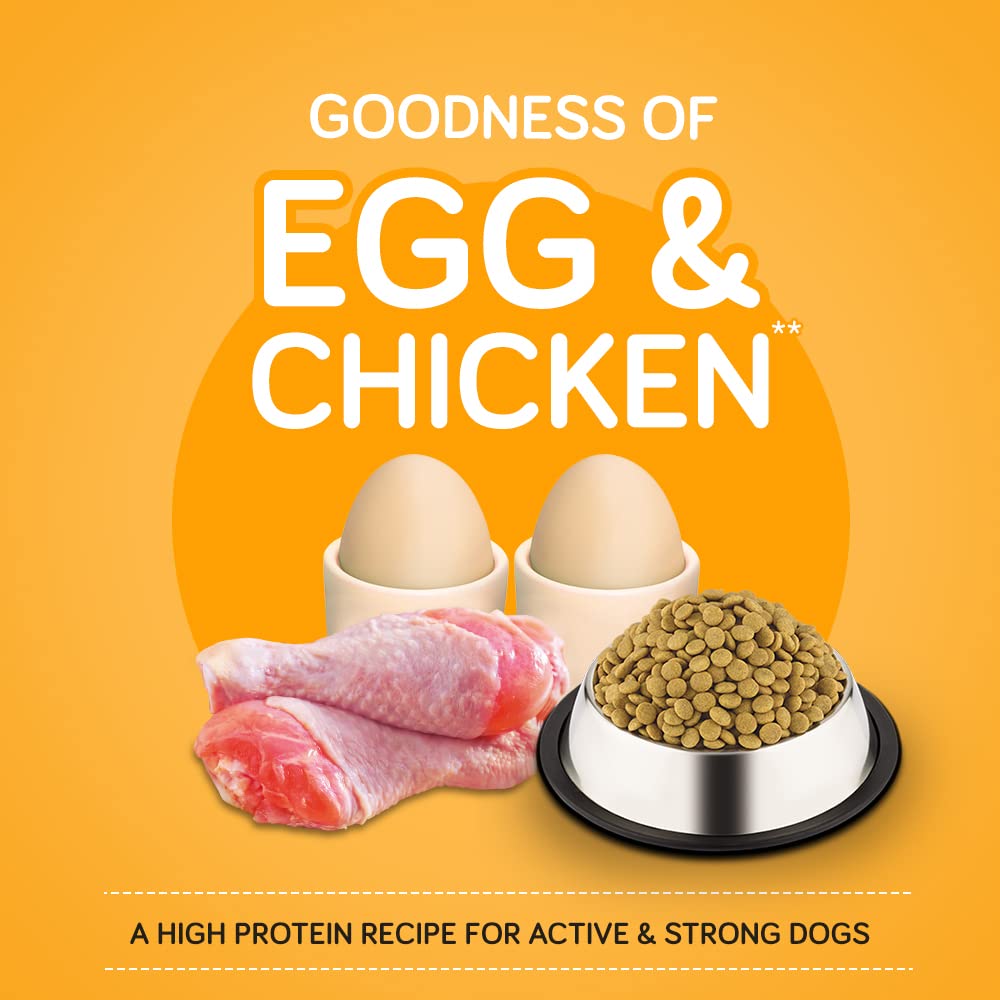 Pedigree- Adult Dry Dog Food (High Protein Variant) Chicken, Egg & Rice