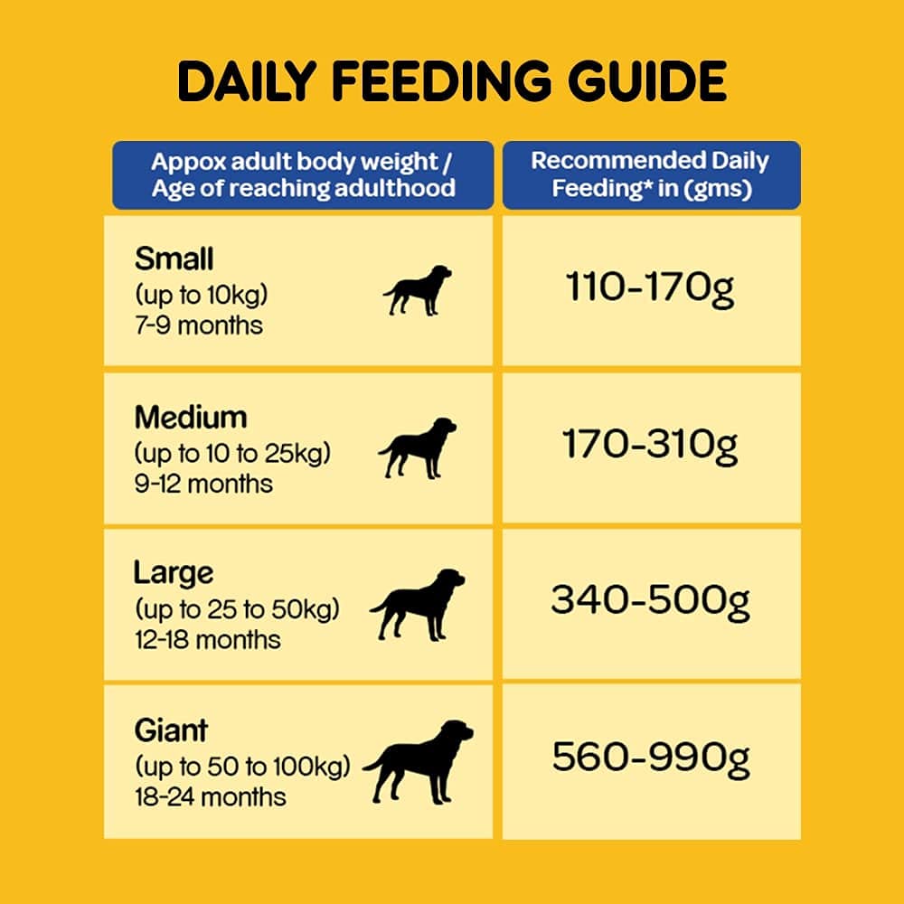 Pedigree- Adult Dog Food Chicken and Vegetables