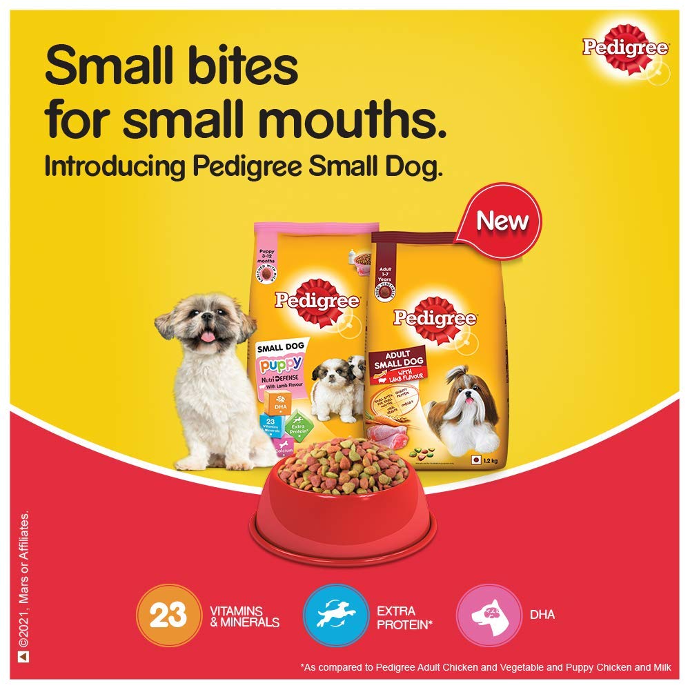 Pedigree- Puppy Small Dog Dry Food