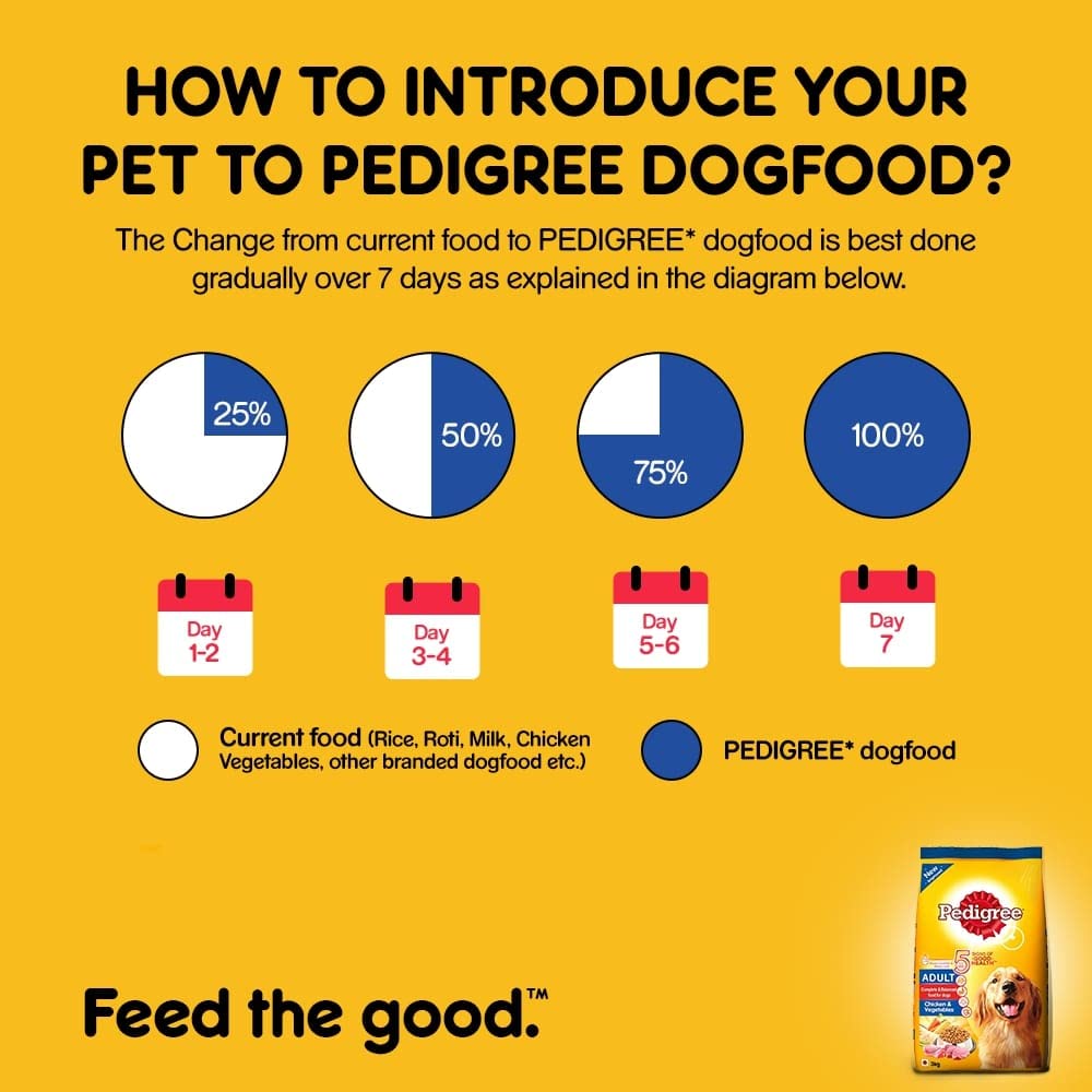 Pedigree- Adult Dog Food Chicken and Vegetables