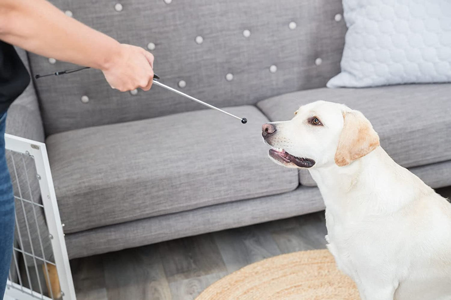 Trixie Target Stick for Training Dogs