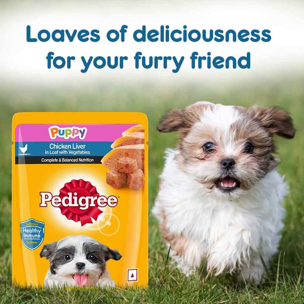 Pedigree - Puppy Wet Dog Food, Chicken Liver Flavour in Loaf with Vegetables