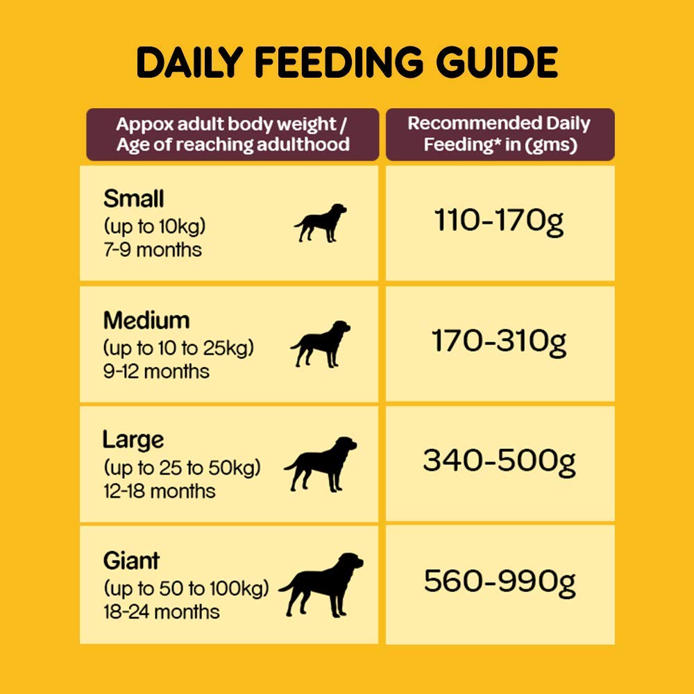 Pedigree- Adult Dog Food Meat and Rice