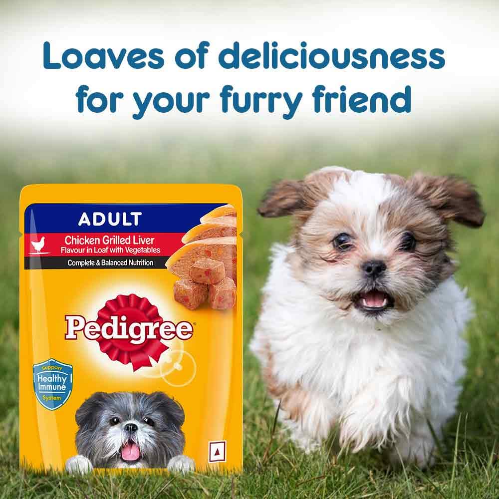 Pedigree- Adult Wet Dog Food, Chicken Grilled Liver in Loaf with Vegetables (15 X 70 g)