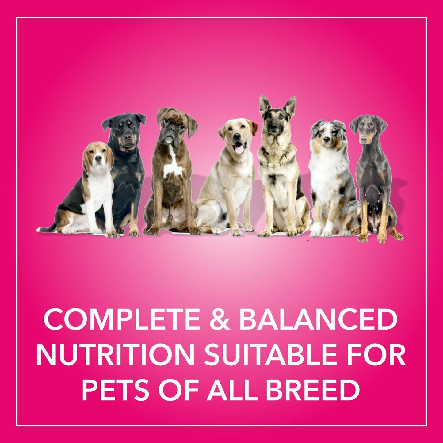 Purepet - Chicken & Milk Adult Dry Dog Food 1.1 kg (Buy 1 Get 1 Free)