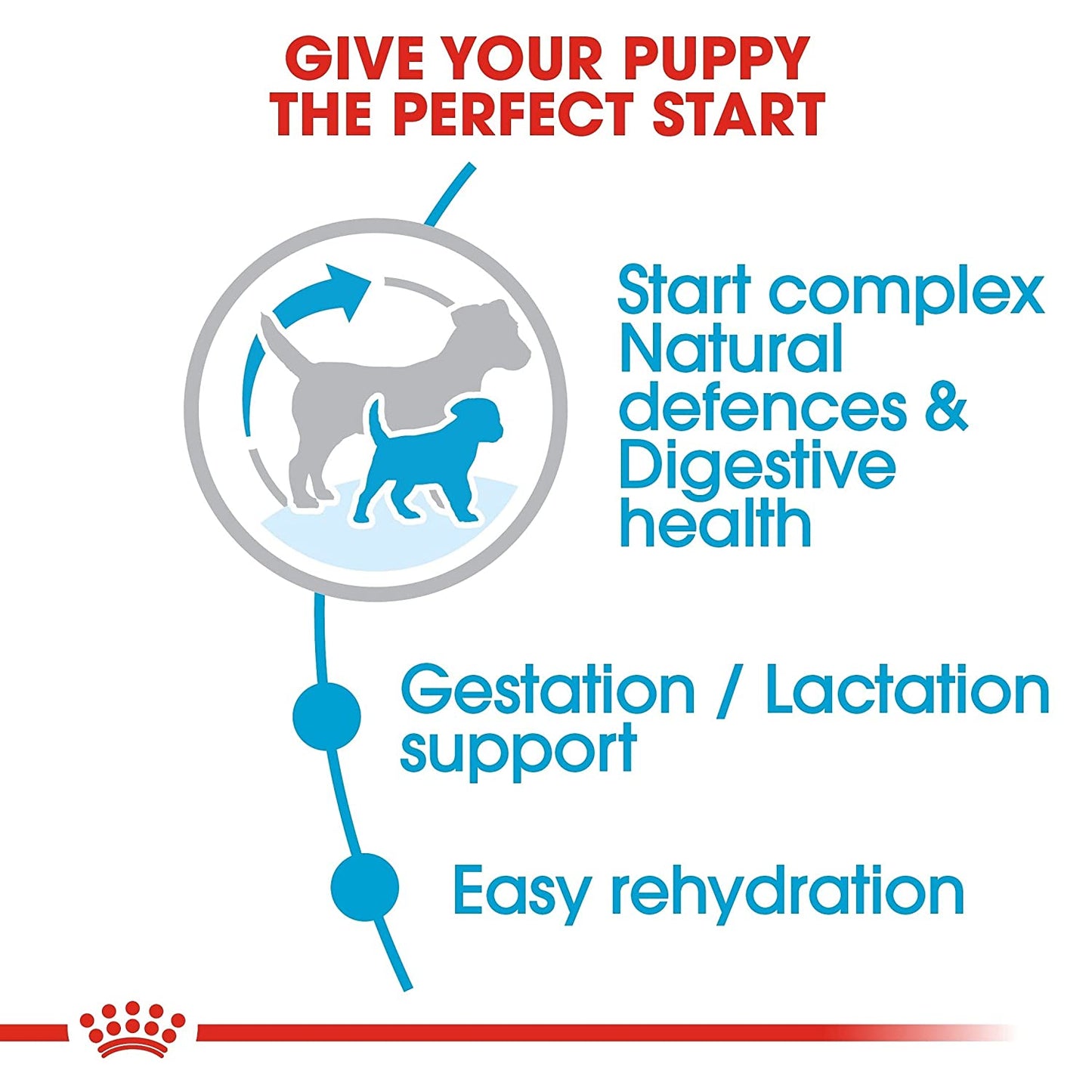 Royal Canin- Mini Starter