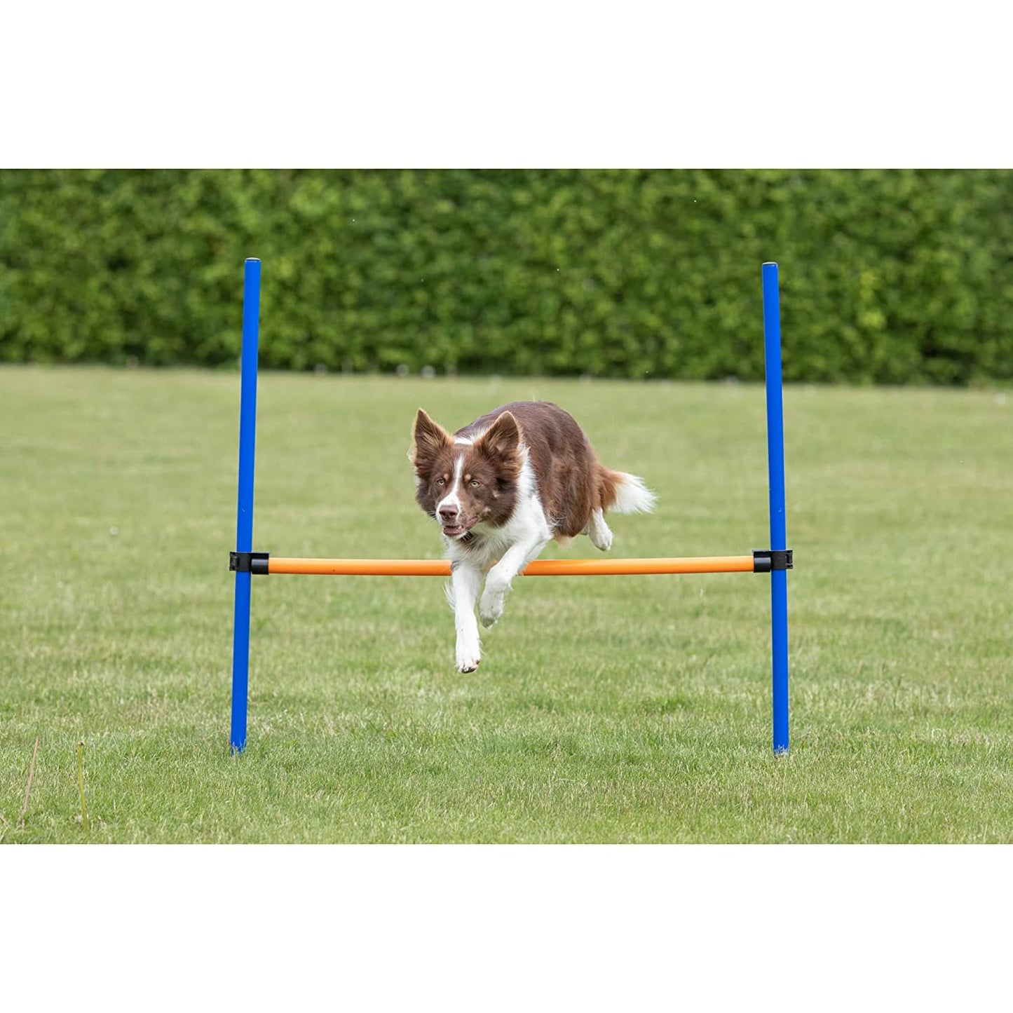 Trixie Dog Agility Hurdle Blue And Orange