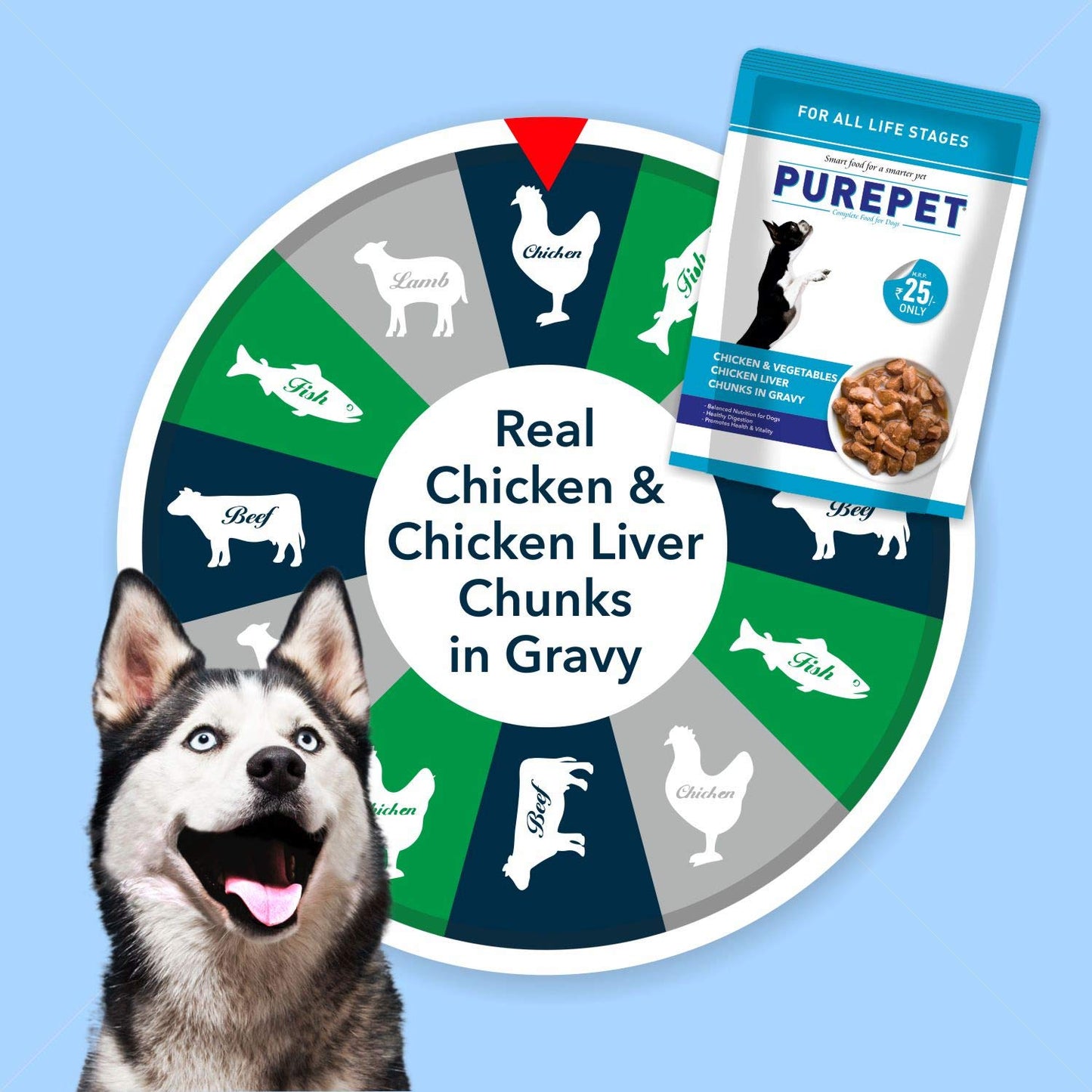 Purepet -Chicken & Vegetable Chunks In Gravy Adult Dog Wet Food 24 Pouches (24x70g)