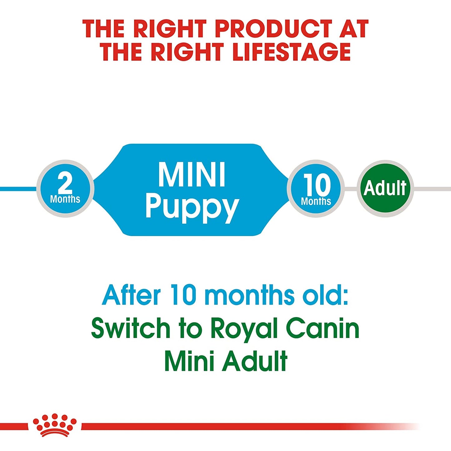 Royal Canin- mini puppy dry food