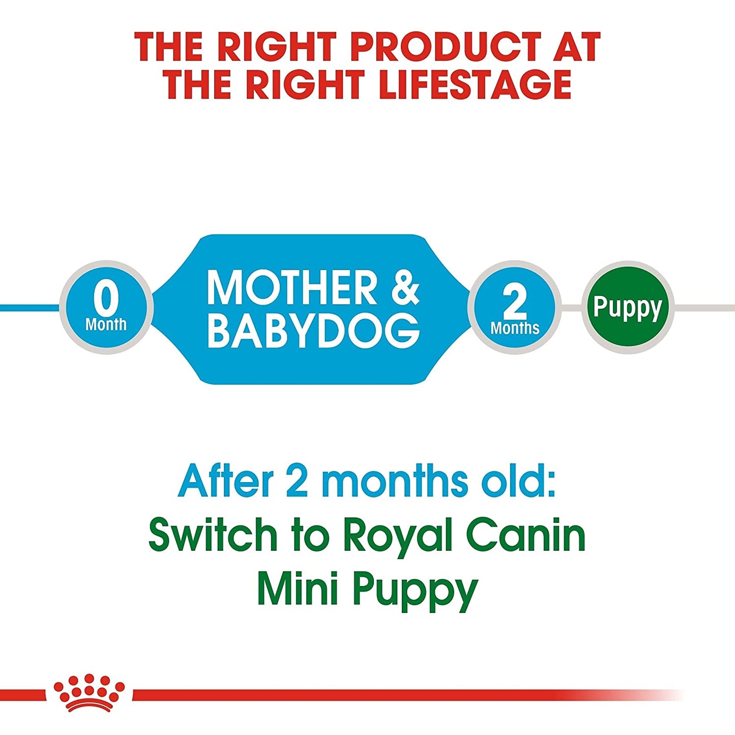 Royal Canin- Mini Starter