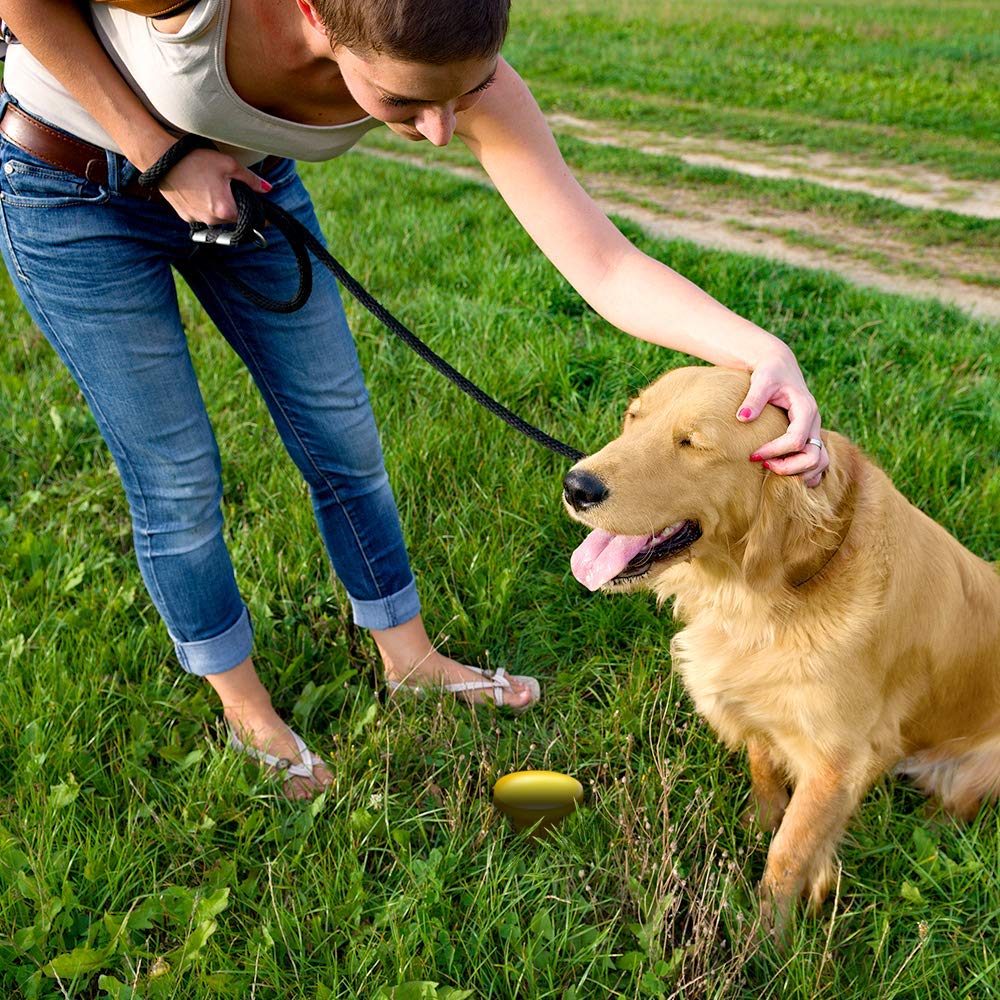 Simple Solution Pee Post Outdoor Potty Training Aid