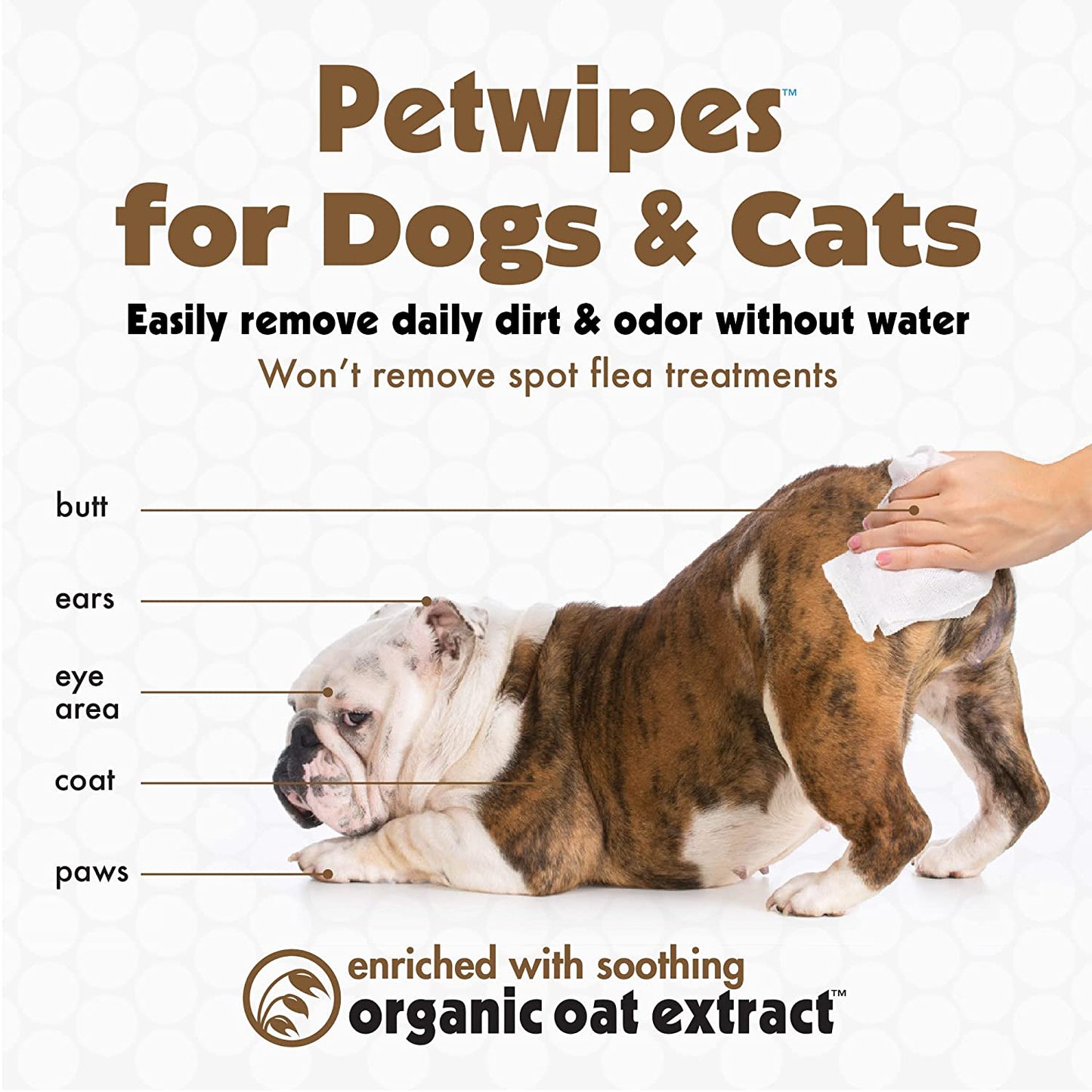 Petkin Pet Wipes for Dogs and Cats, 100 Wipes (Large)