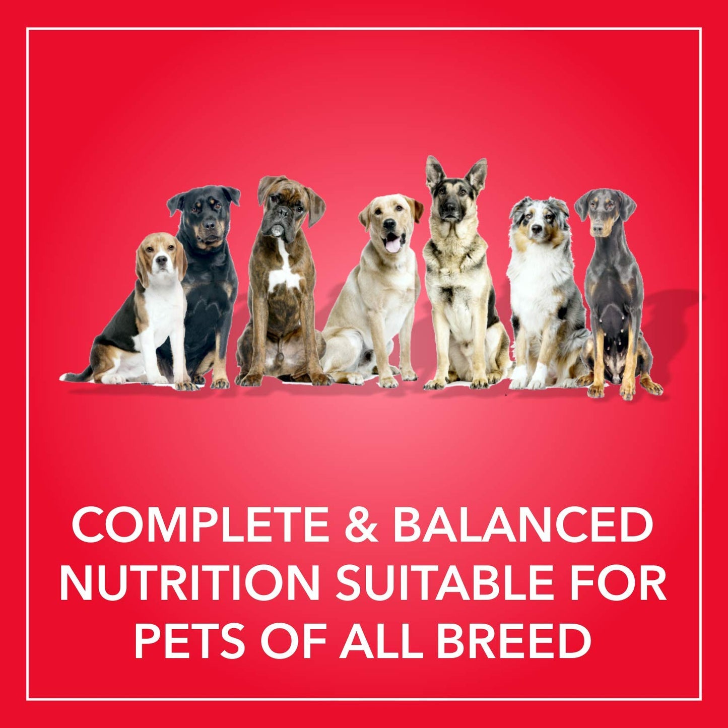 Purepet - Meat And Rice Adult Dry Dog Food