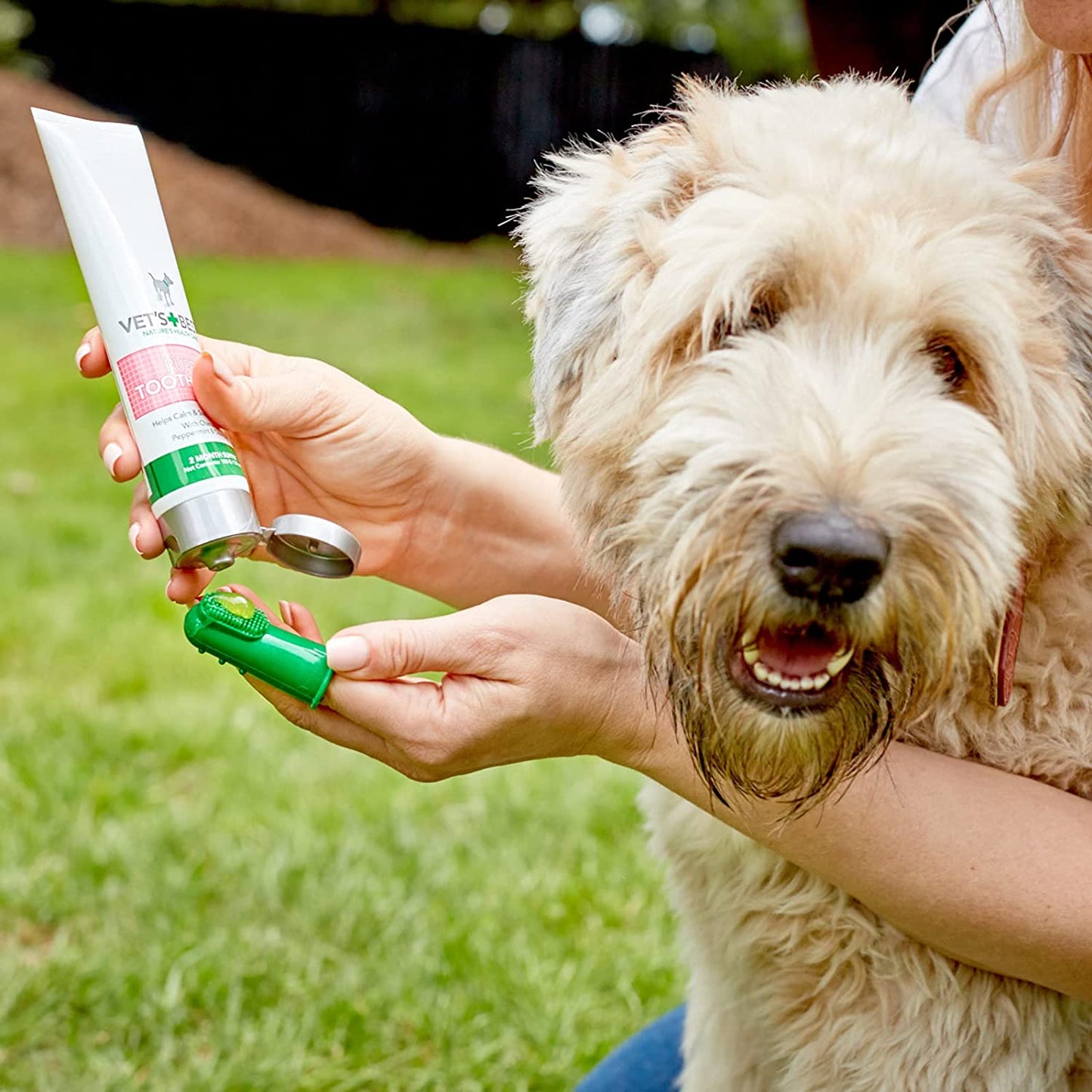 Vets Best Dental Kit Toothbrush and Toothpaste for Puppy