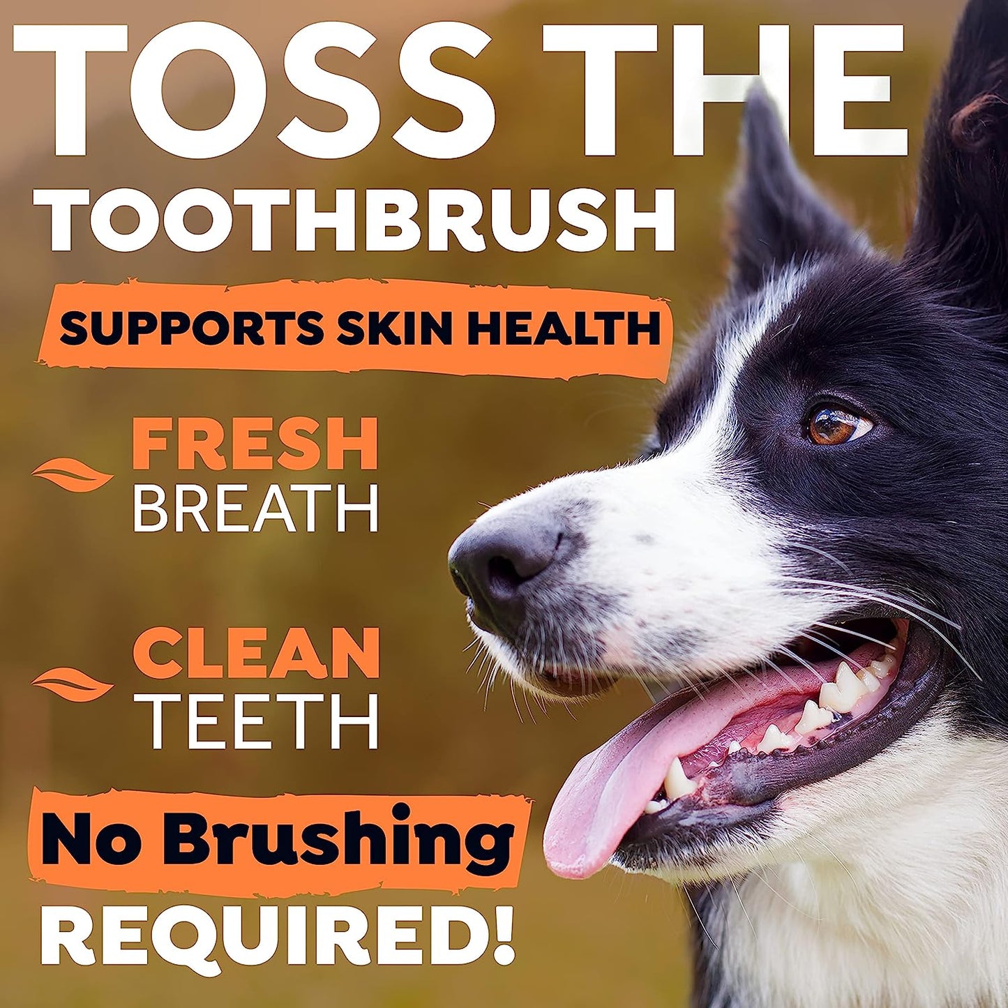 TropiClean Fresh Breath Dog Dental Water Additive - Dog Breath Freshener For Skin & Coat Support 473 ml