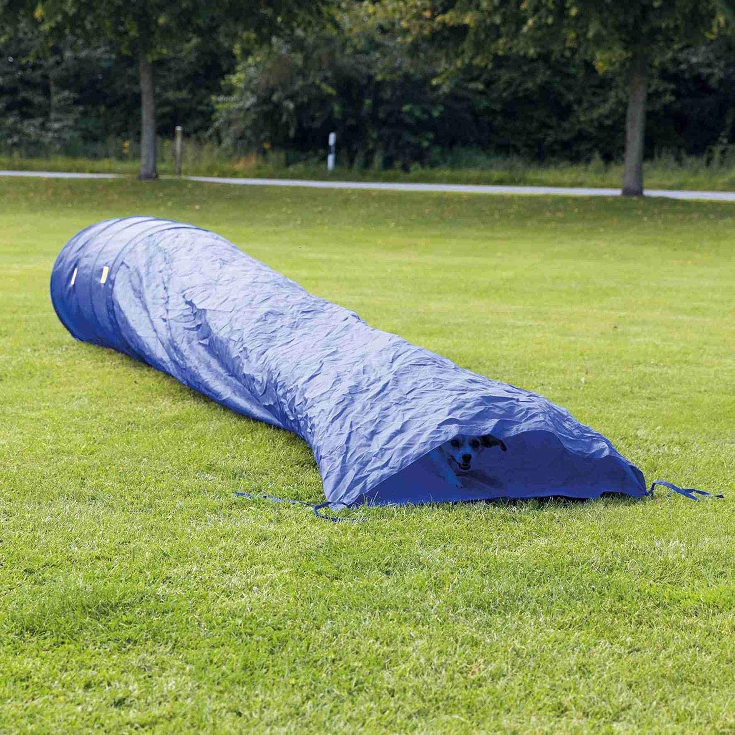 Trixie Dog Agility Basic Tunnel Blue - 60 cm X 5 M