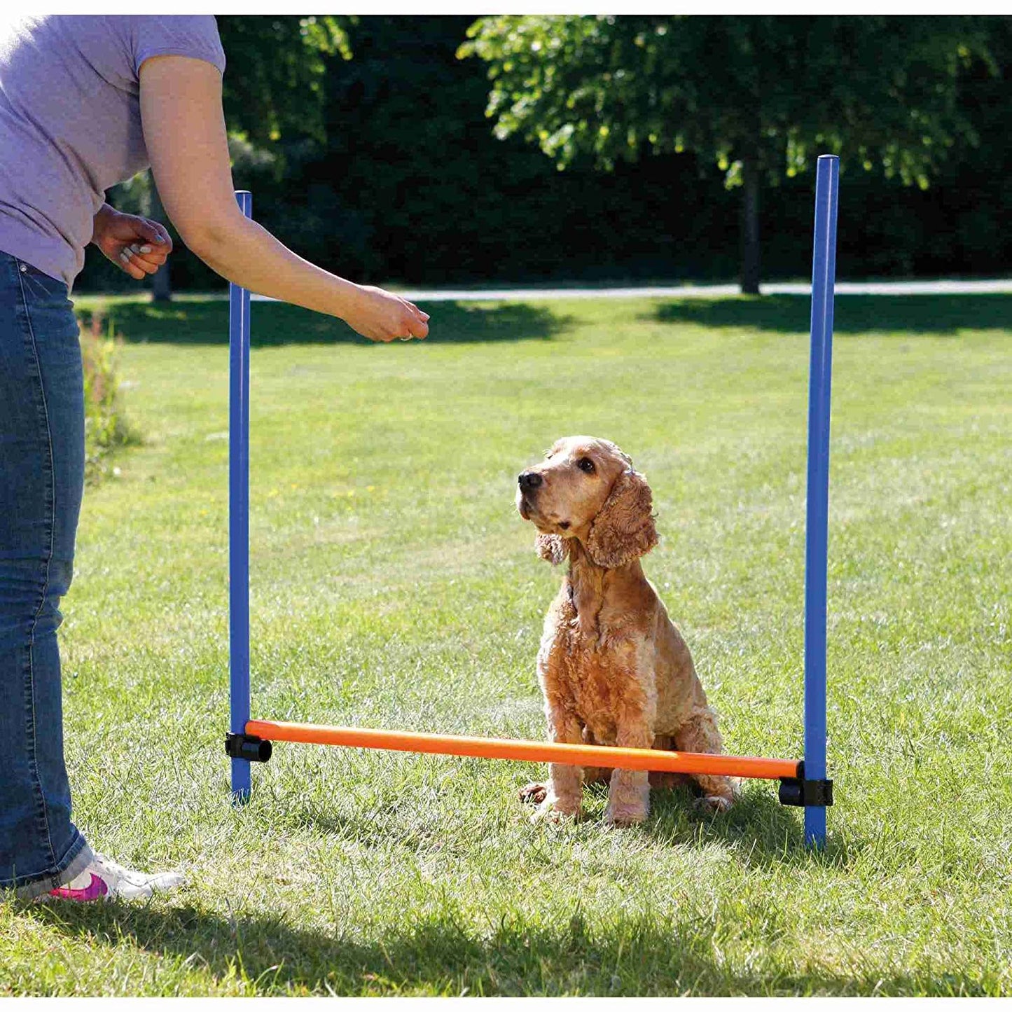 Trixie Dog Agility Hurdle Blue And Orange