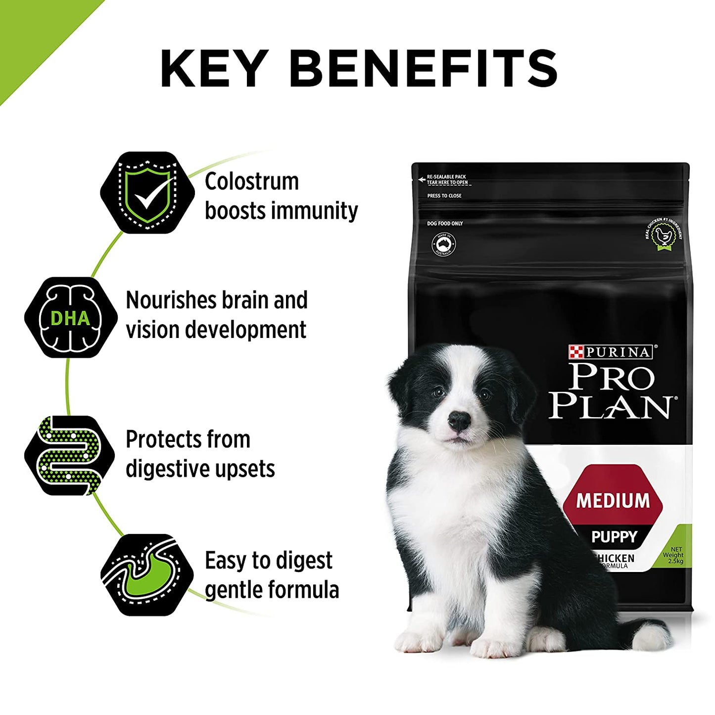 Purina - Pro Plan Chicken Medium Puppy Dry Food