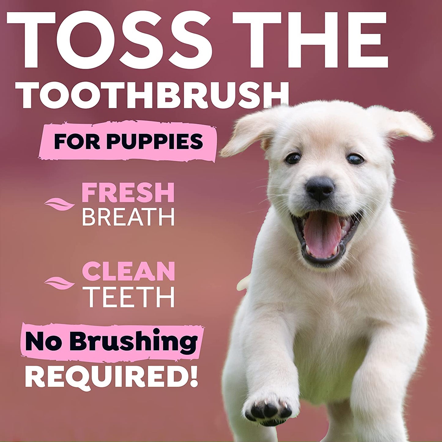 Tropiclean Fresh Breath Water Additive for Puppies, 473 ml