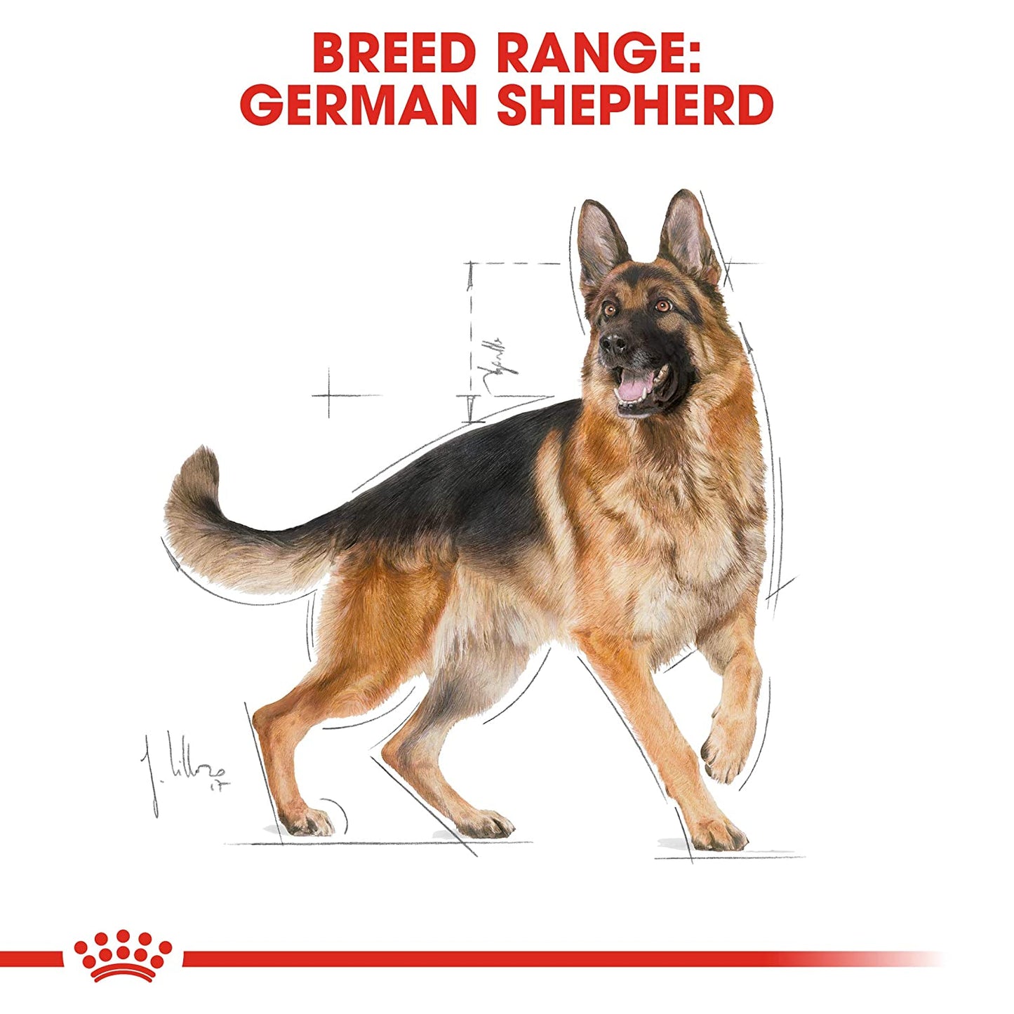 Royal Canin- German Shepherd Adult