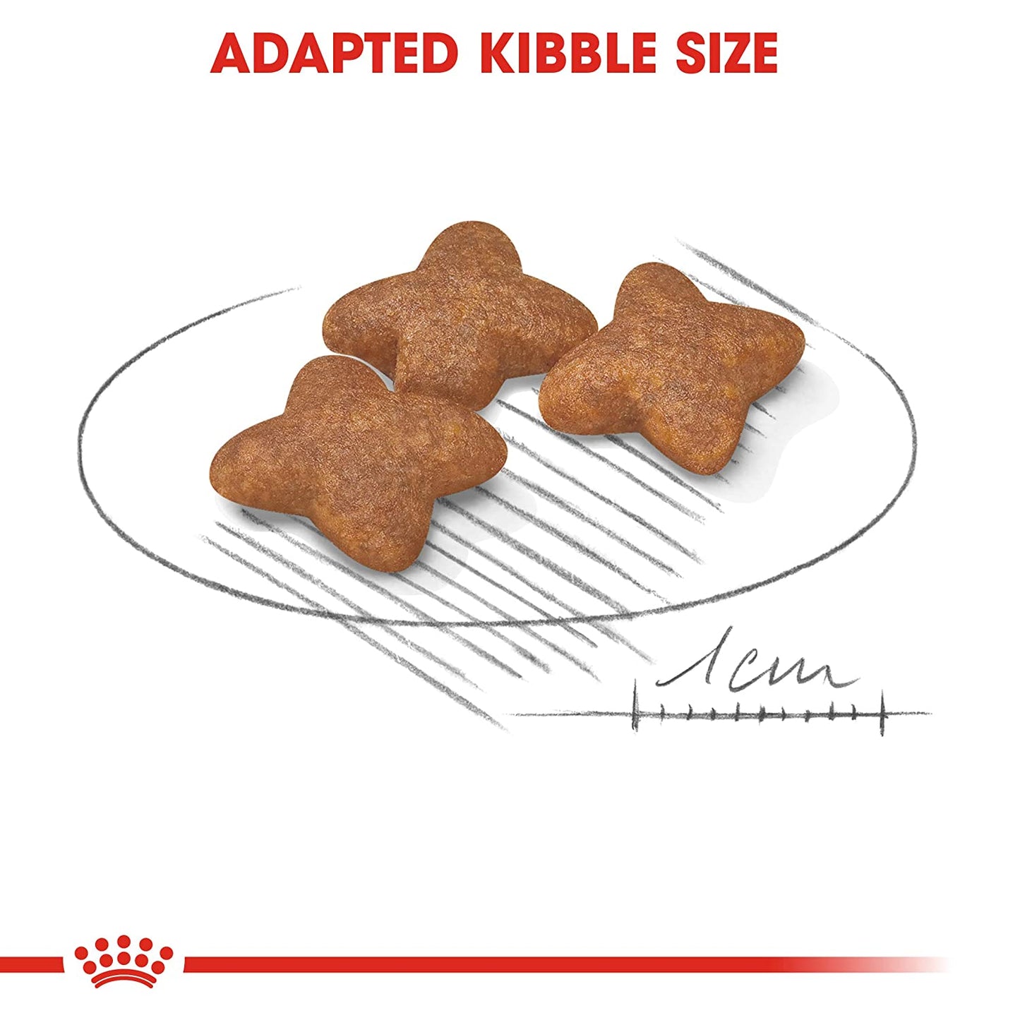 Royal Canin- Mini Adult 8+ DRY FOOD