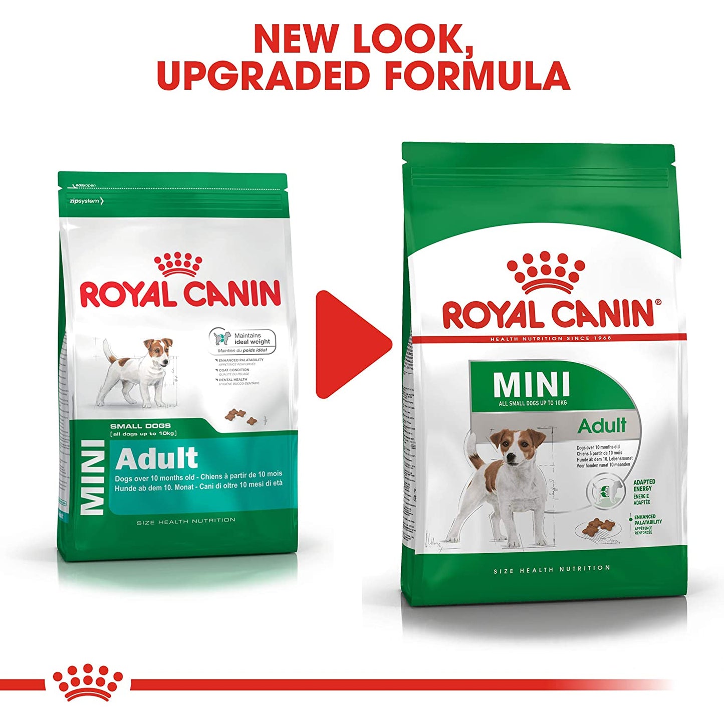 Royal Canin- Mini Adult 8+ DRY FOOD