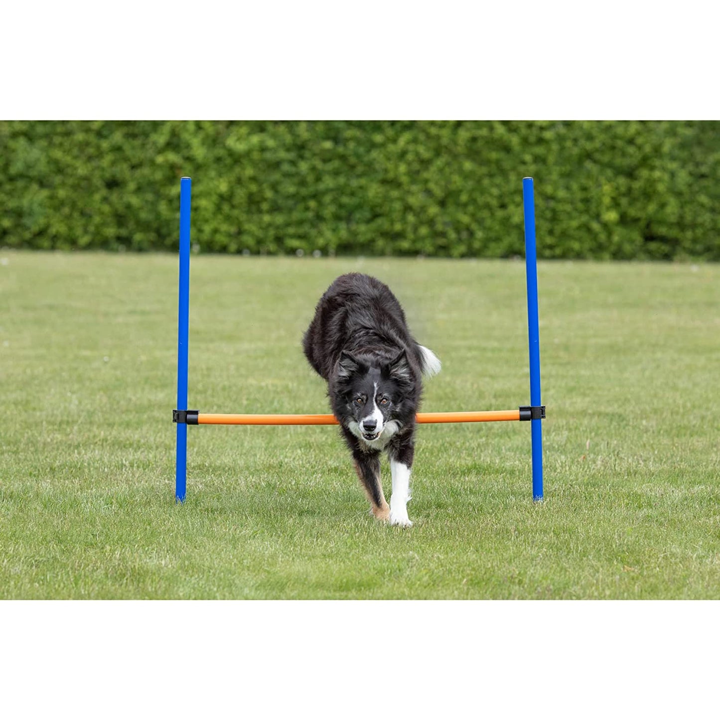 Trixie Dog Agility Hurdle Blue And Orange