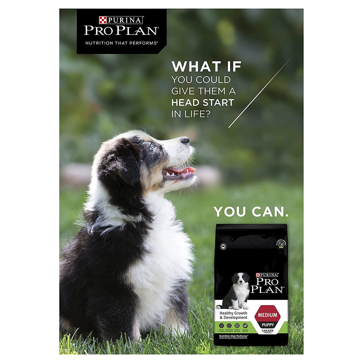 Purina - Pro Plan Chicken Medium Puppy Dry Food