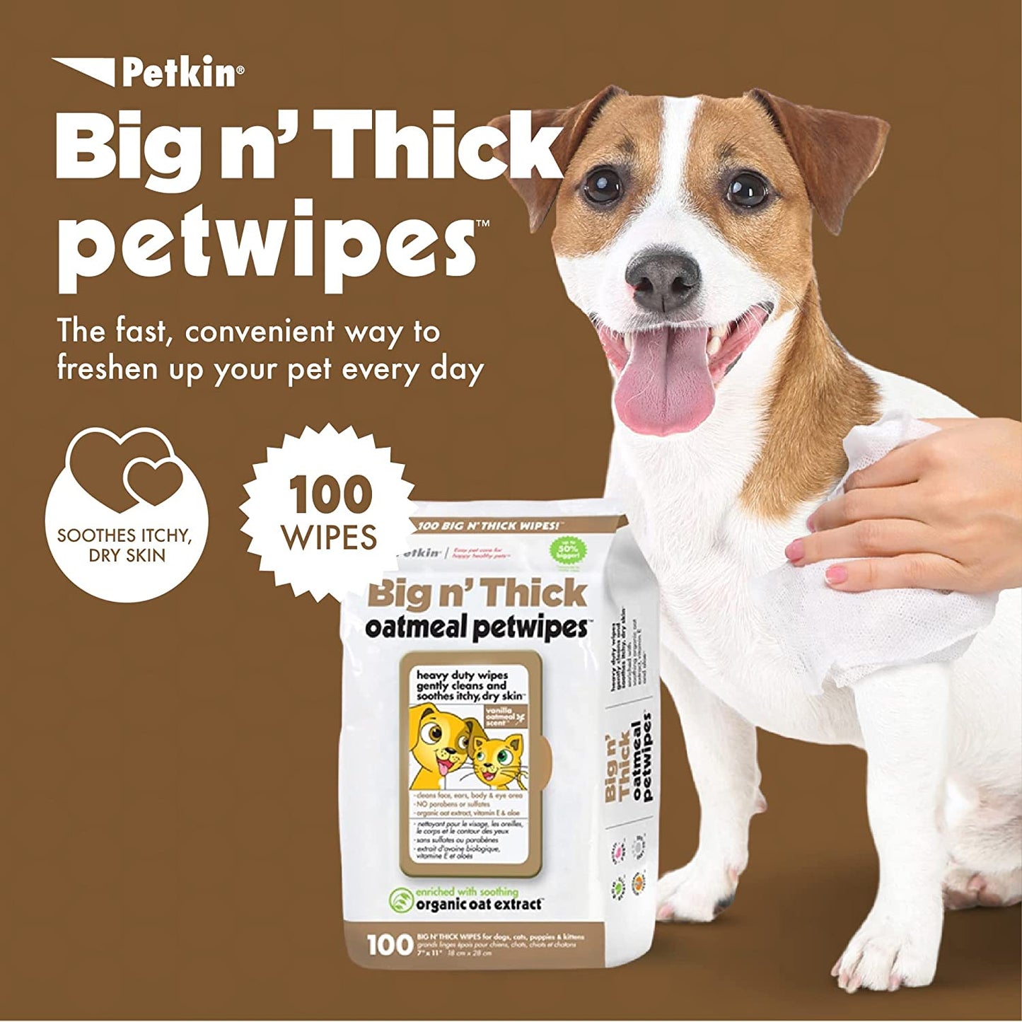 Petkin Pet Wipes for Dogs and Cats, 100 Wipes (Large)