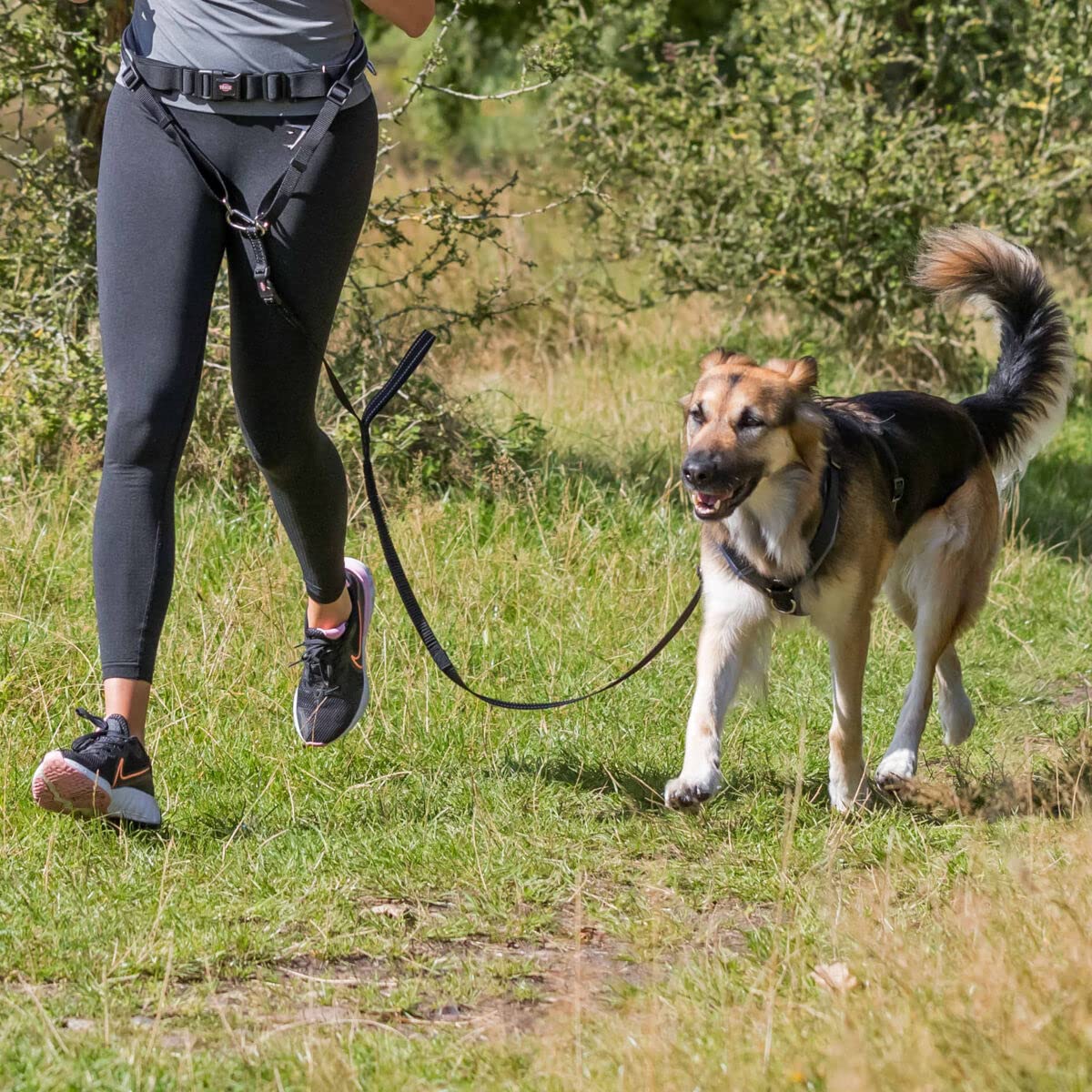 Trixie Waist Belt with Wide Leash Neoprene Padding & Elastic Belly Strap – 12cm