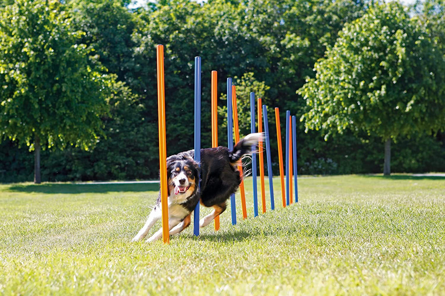 Trixie Dog Agility Slalom (Weave Poles)