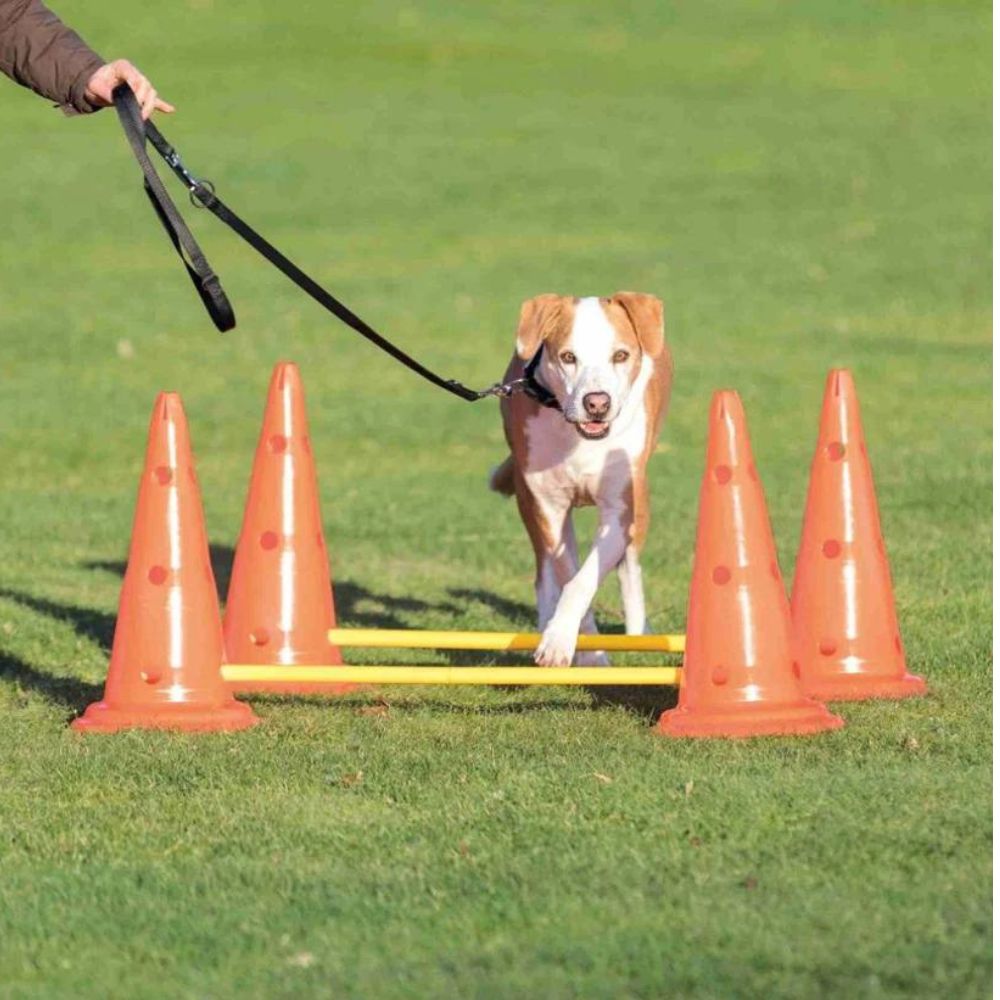 Trixie Dog Agility Obstacles - Pylon and Poles