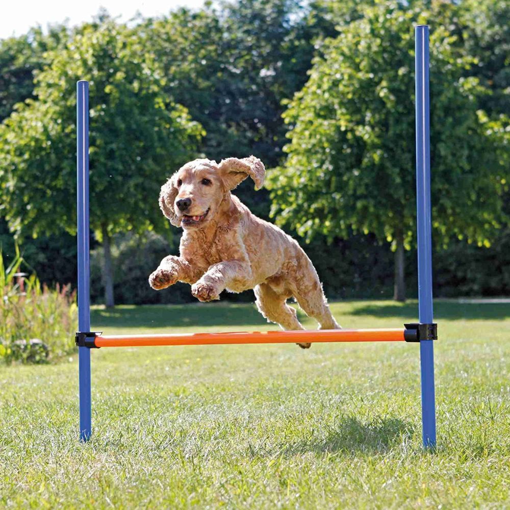 Trixie Dog Agility Hurdle Blue And Orange