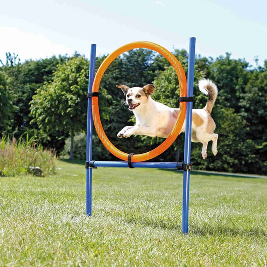 Trixie Dog Agility Ring, Orange/Blue