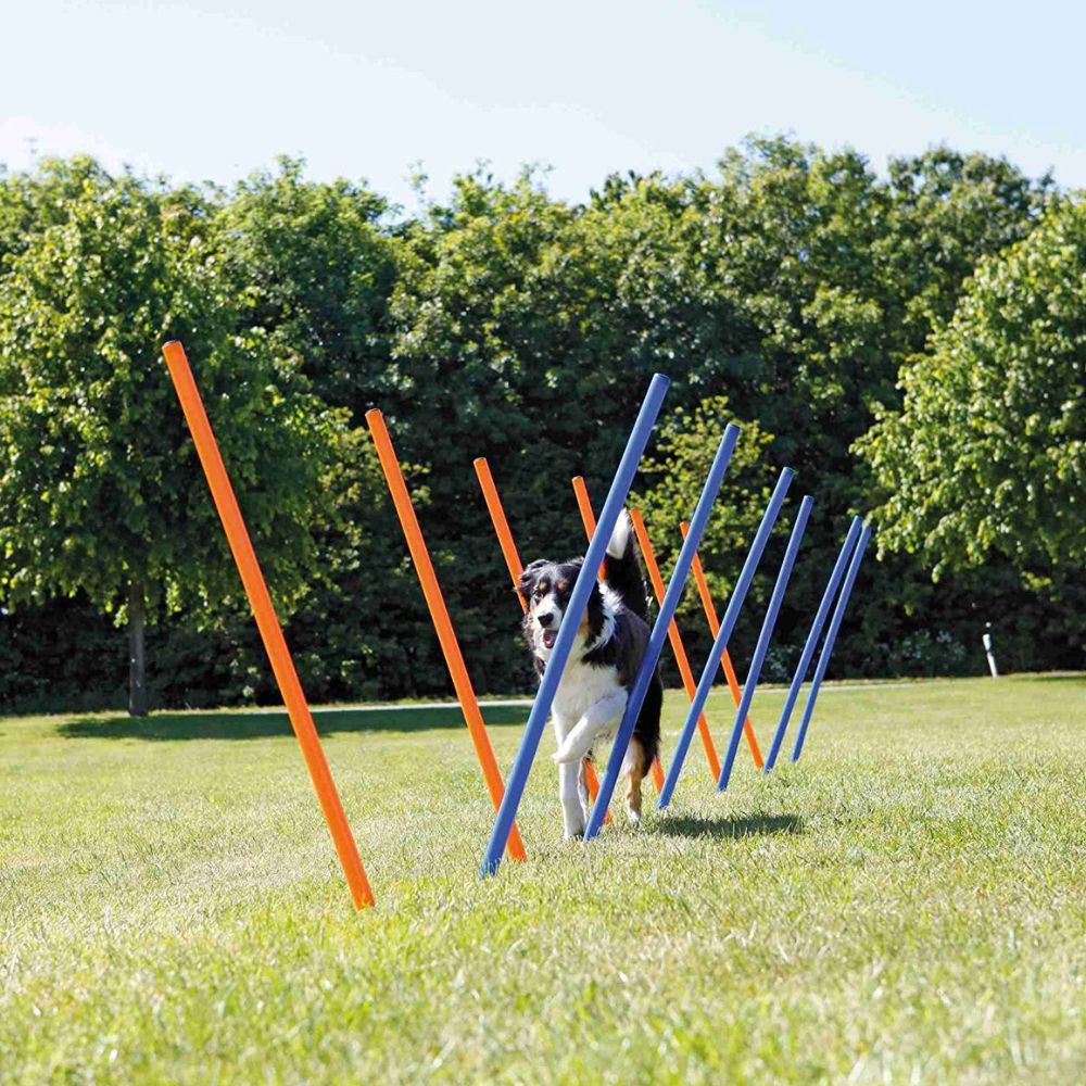 Trixie Dog Agility Slalom (Weave Poles)