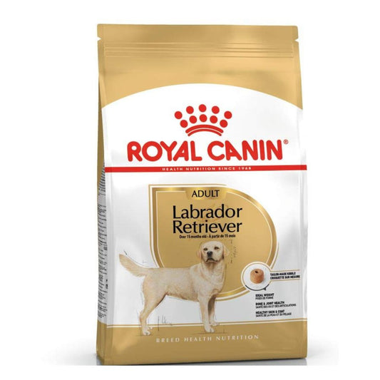 Royal Canin- Labrador Retriever Adult